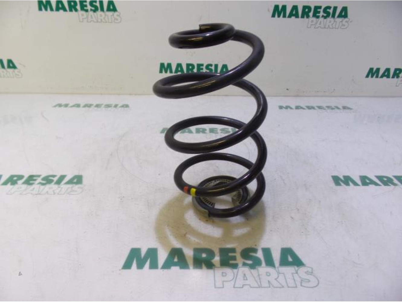 Renault - Clio - Rear coil spring