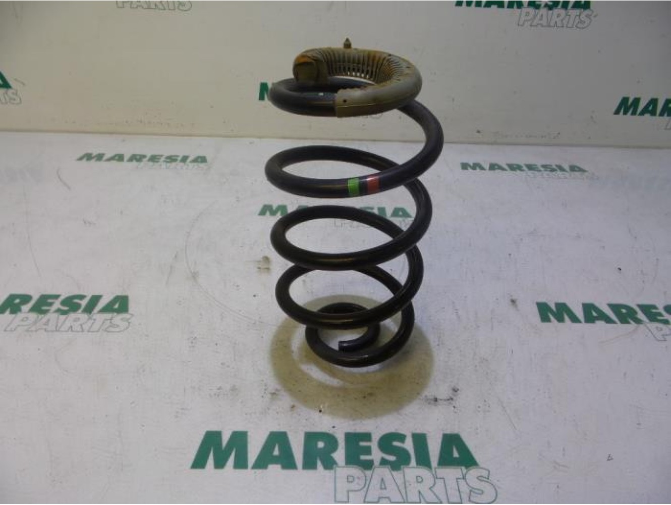 Renault - Clio - Rear coil spring