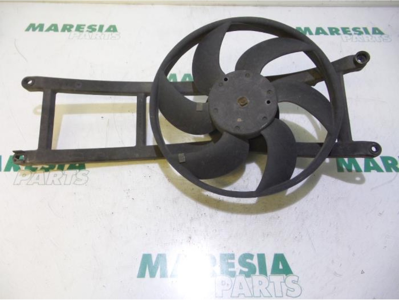 Fiat - Panda - Koelvin Motor