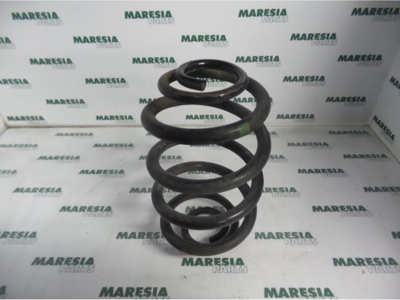 Renault - Clio - Rear coil spring