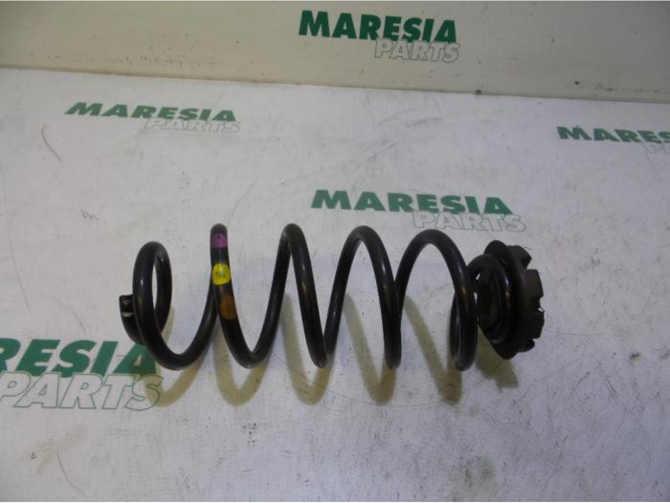 Renault - Twingo - Rear coil spring