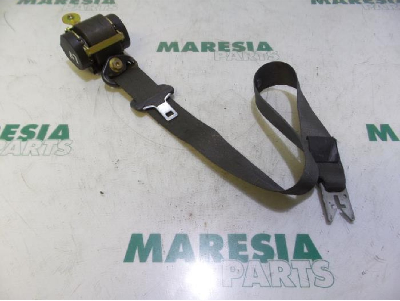 Renault - Megane Scenic - Ceinture de sécurité avant gauche
