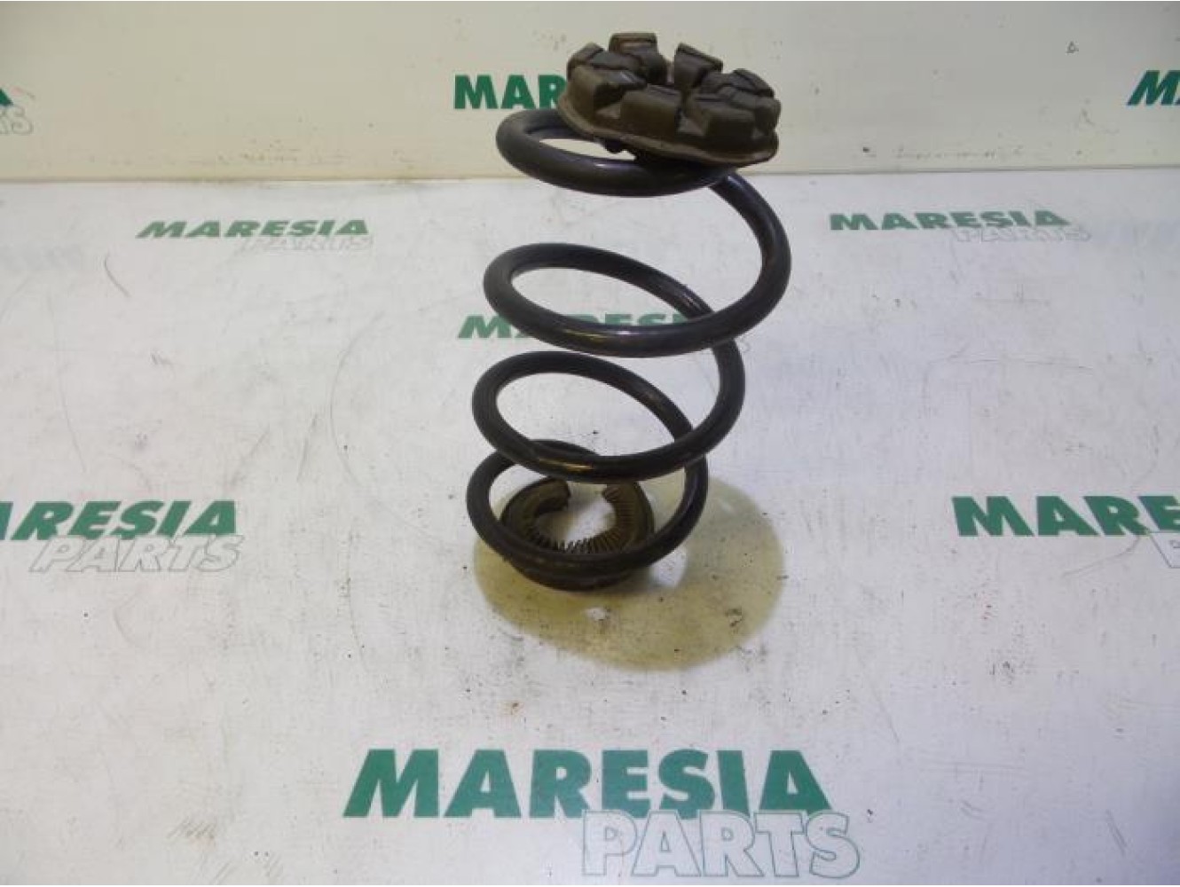 Renault - Clio - Rear coil spring