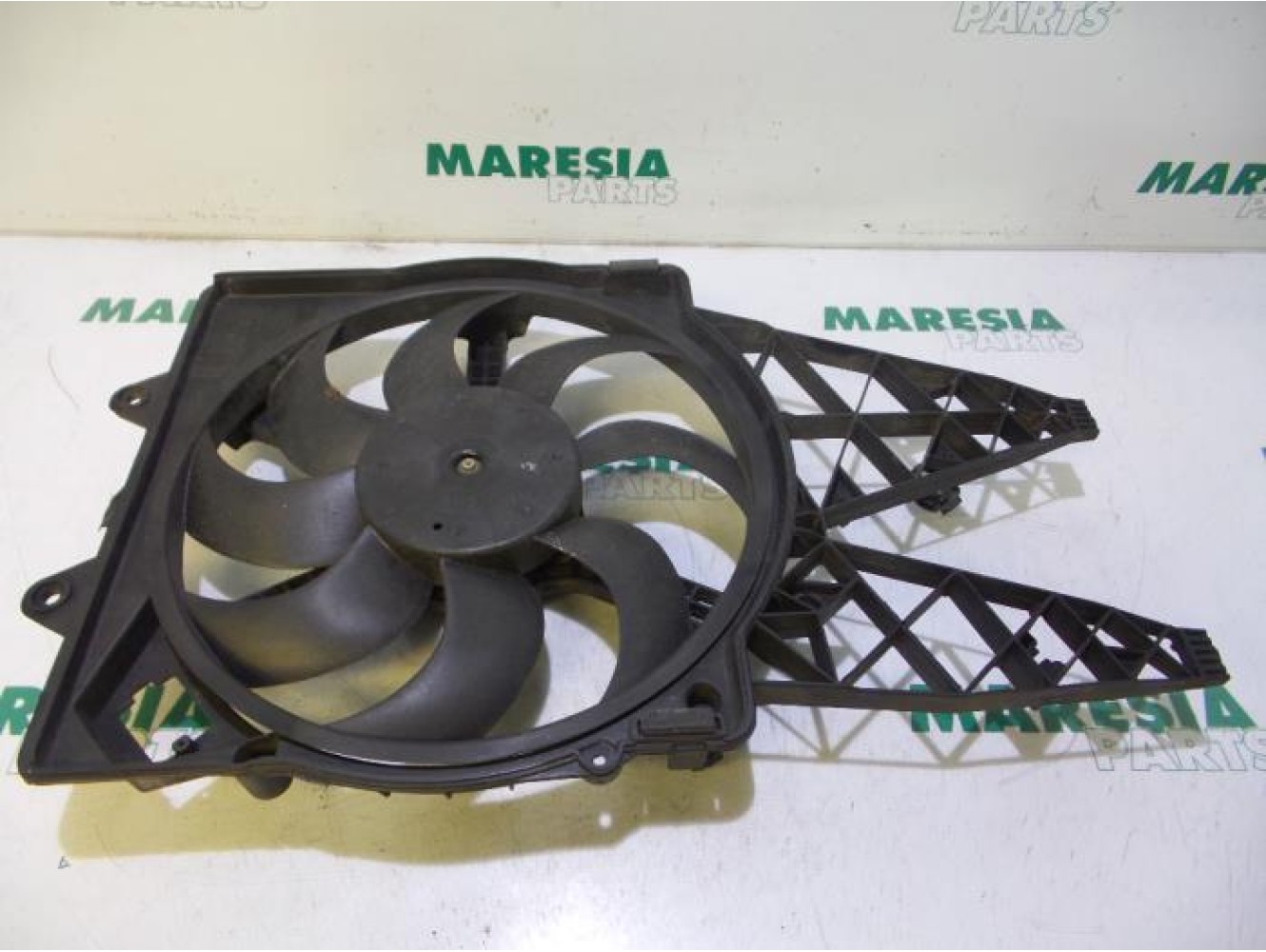 Fiat - Punto - Kühlgebläse Motor