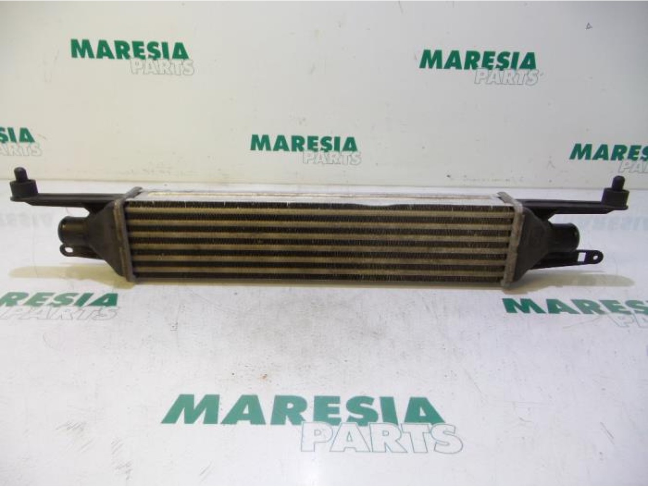 Fiat - Punto - Intercooler