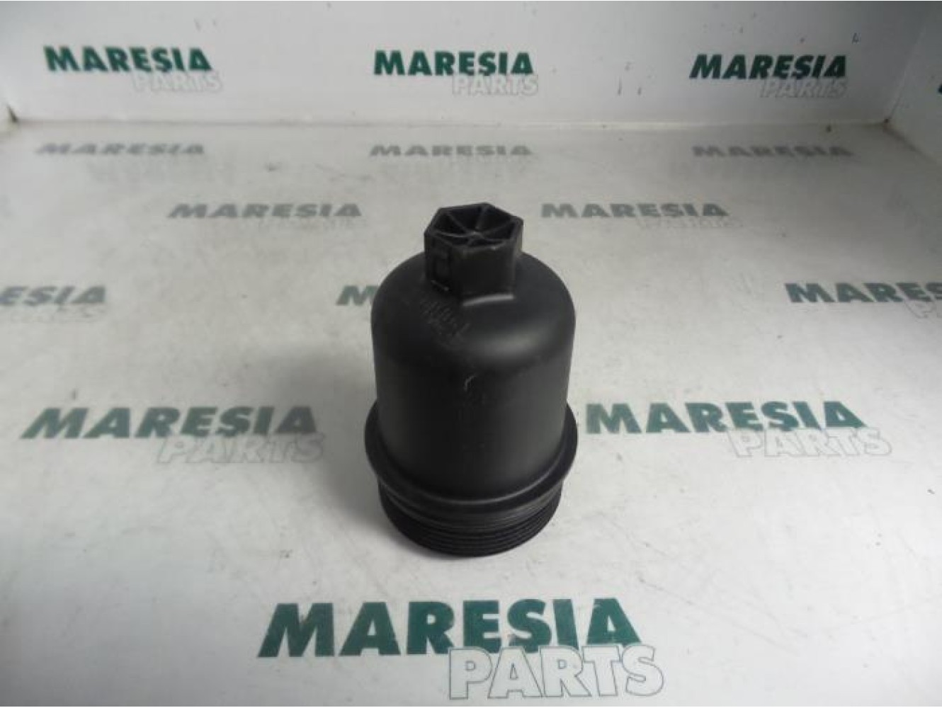 Peugeot - 307 - Oil filter holder