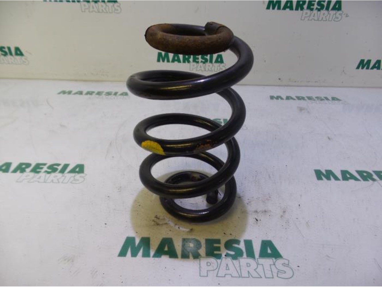 Renault - Master - Rear coil spring