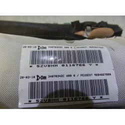 Peugeot - 3008 - Airbag Himmel links