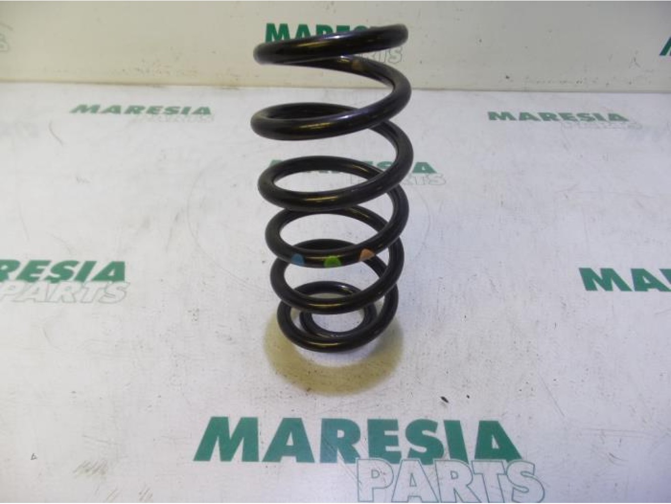 Renault - Clio - Rear coil spring