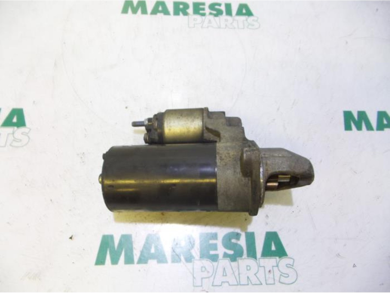 Fiat - Doblo - Starter