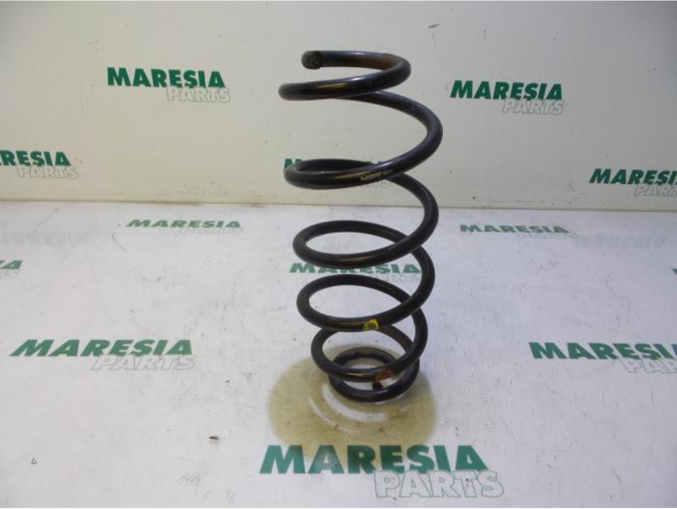 Fiat - Doblo - Rear coil spring
