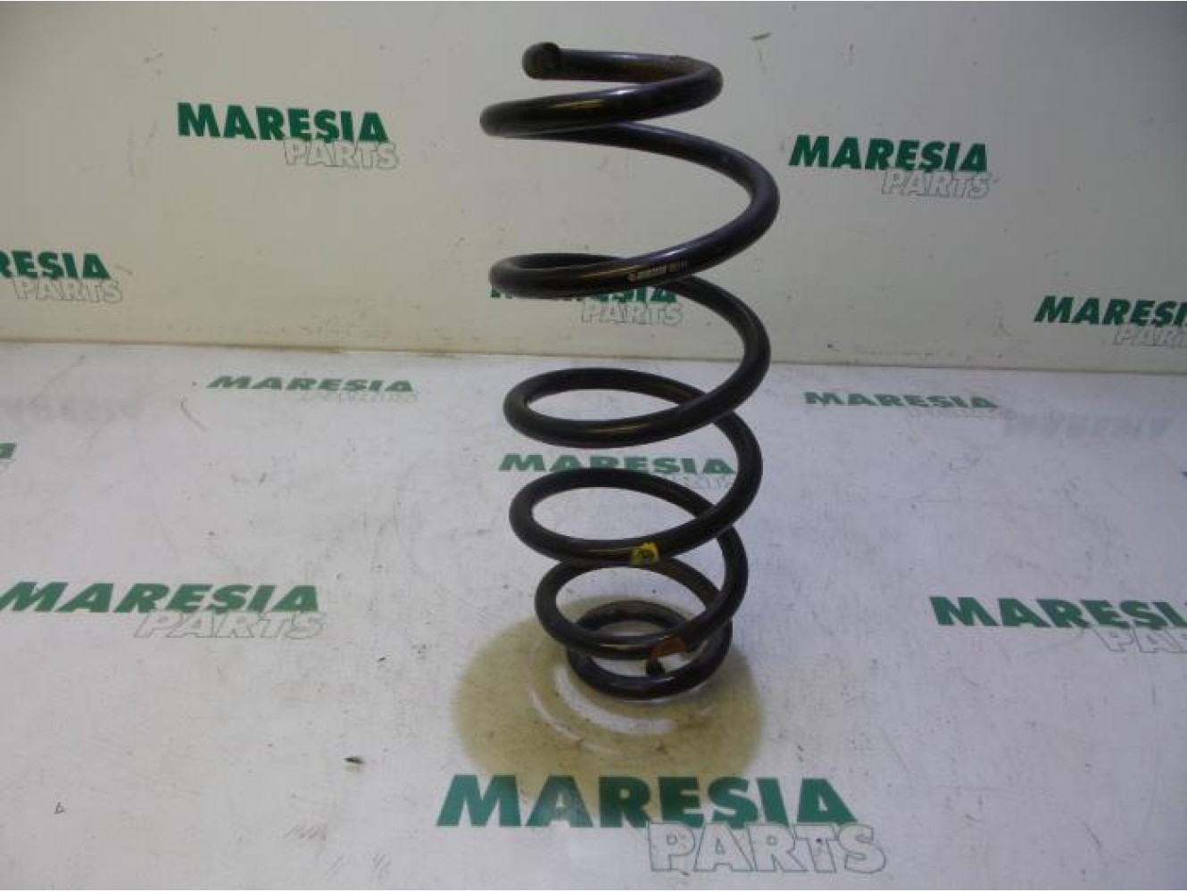 Fiat - Doblo - Rear coil spring