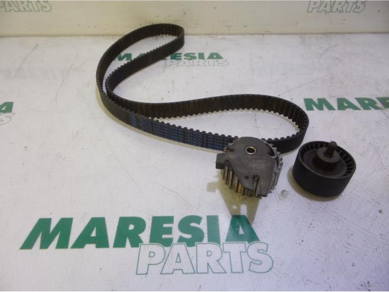 Fiat - Punto - Spannrolle Steuerkette