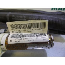 Peugeot - 207 - Airbag Himmel links