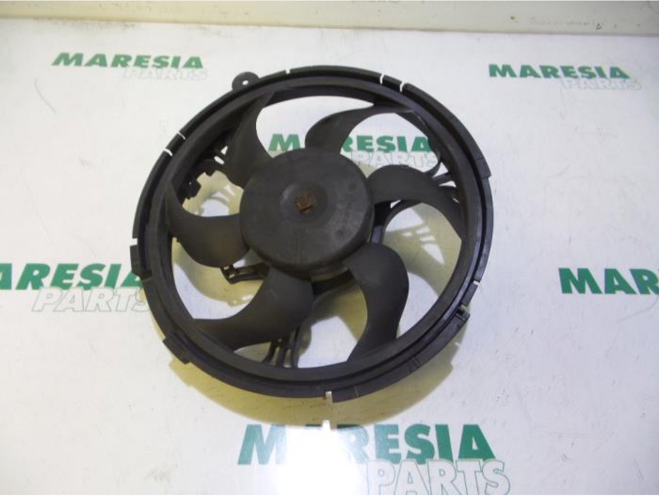 Fiat - Stilo - Koelvin Motor