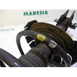 Fiat - Stilo - Front shock absorber rod, right