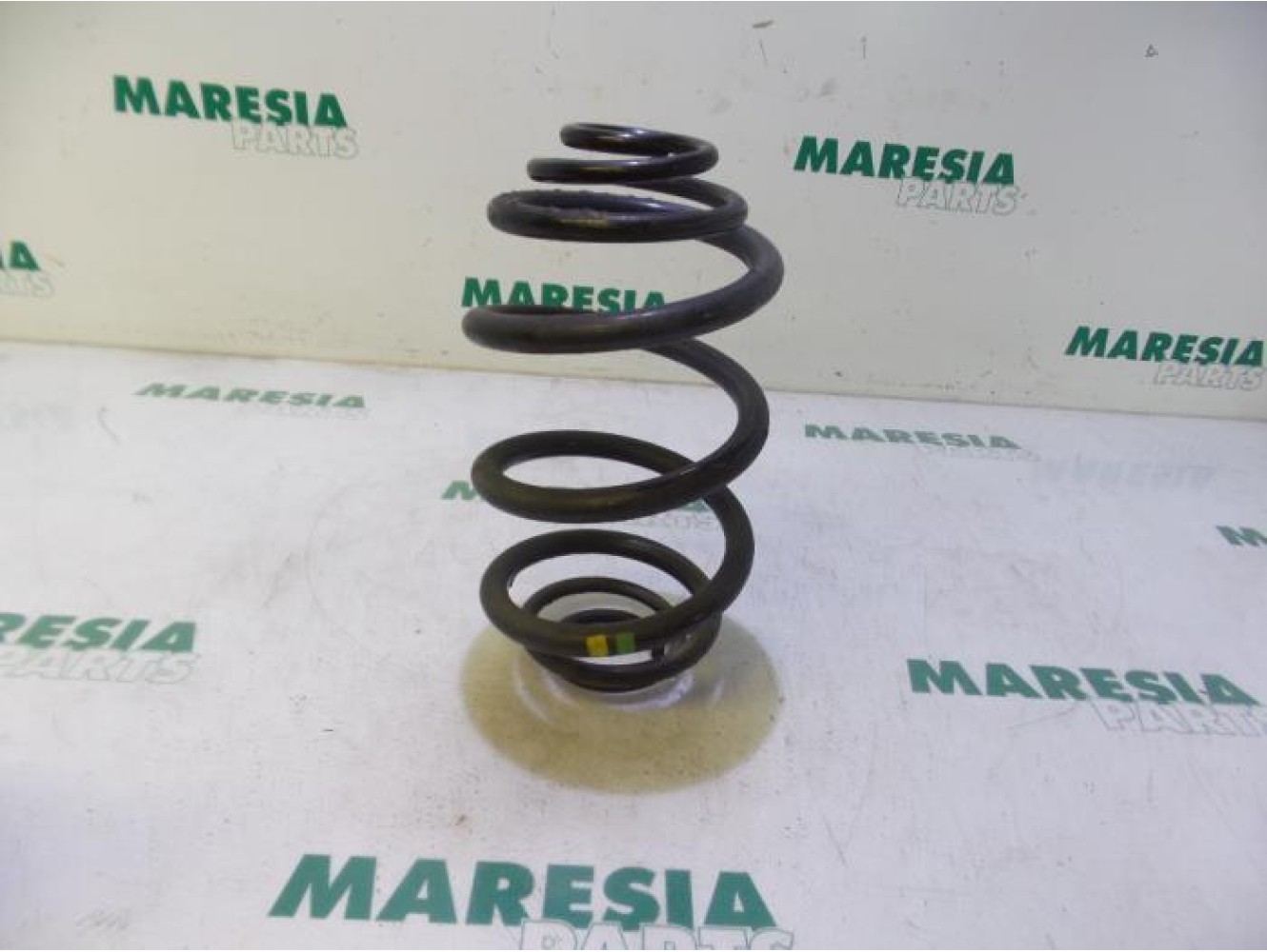 Renault - Trafic - Rear coil spring