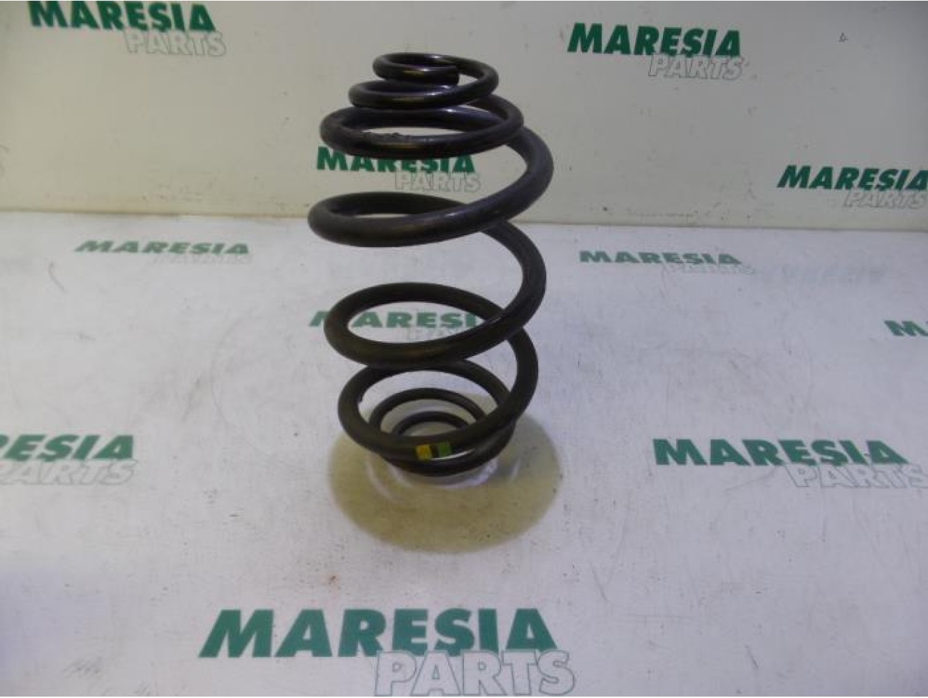 Renault - Trafic - Rear coil spring