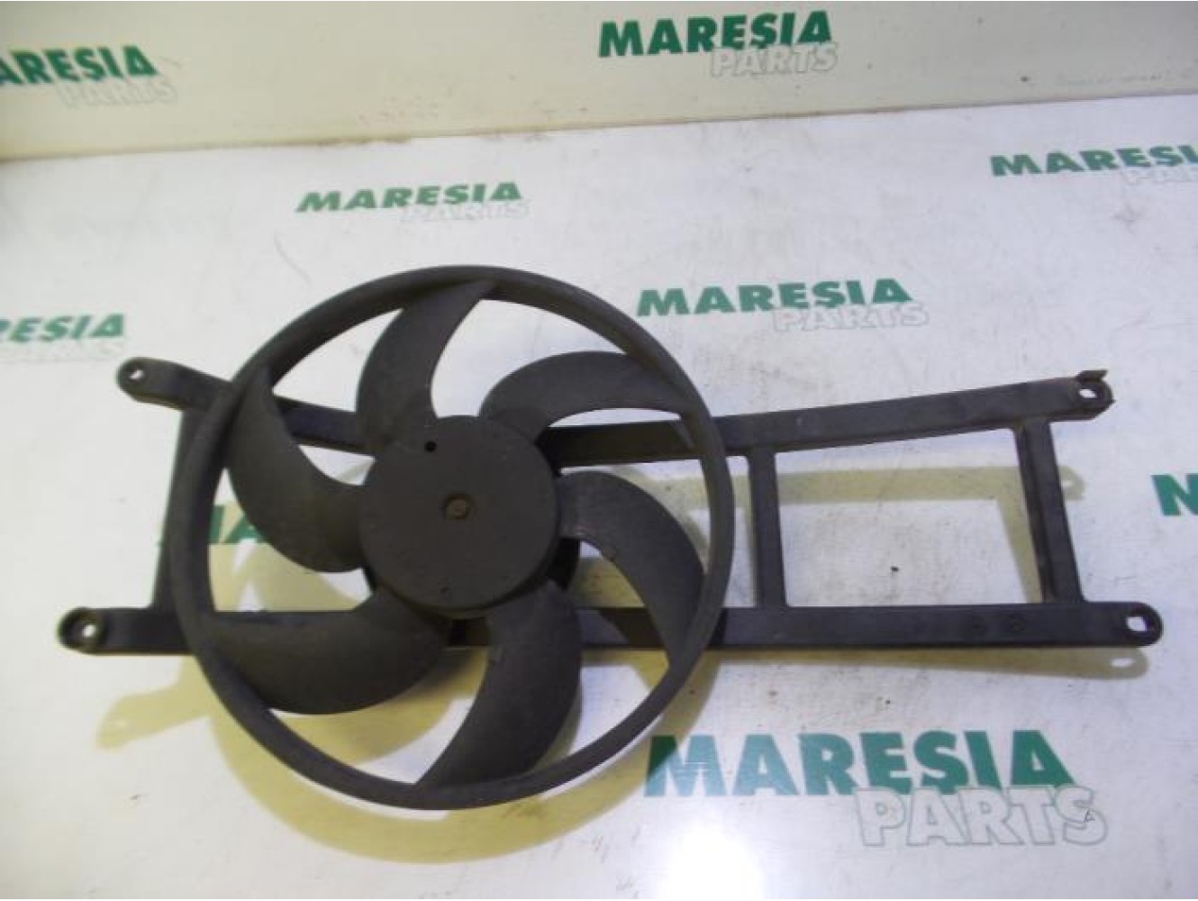 Fiat - Panda - Kühlgebläse Motor