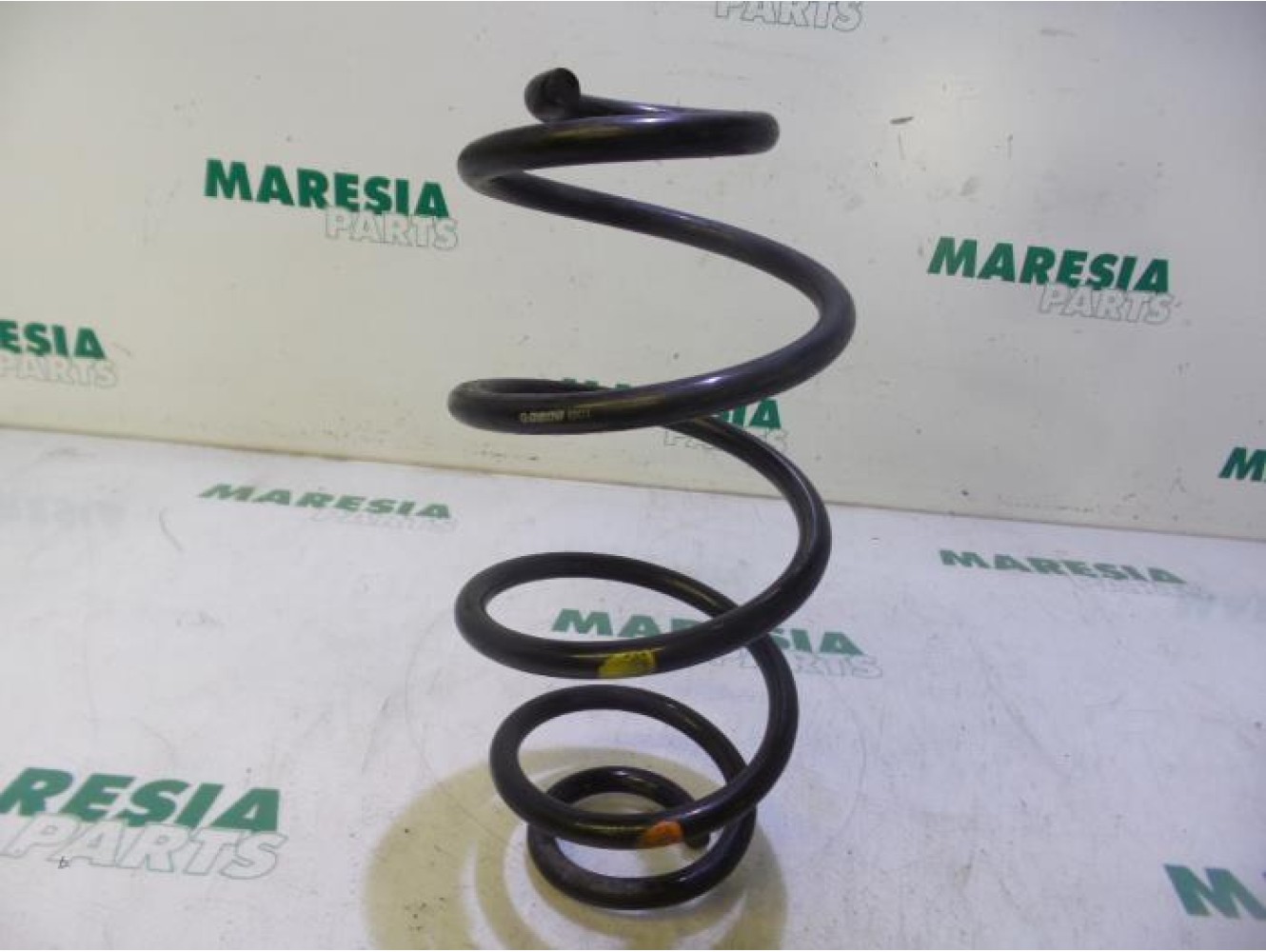 Fiat - Doblo - Rear coil spring
