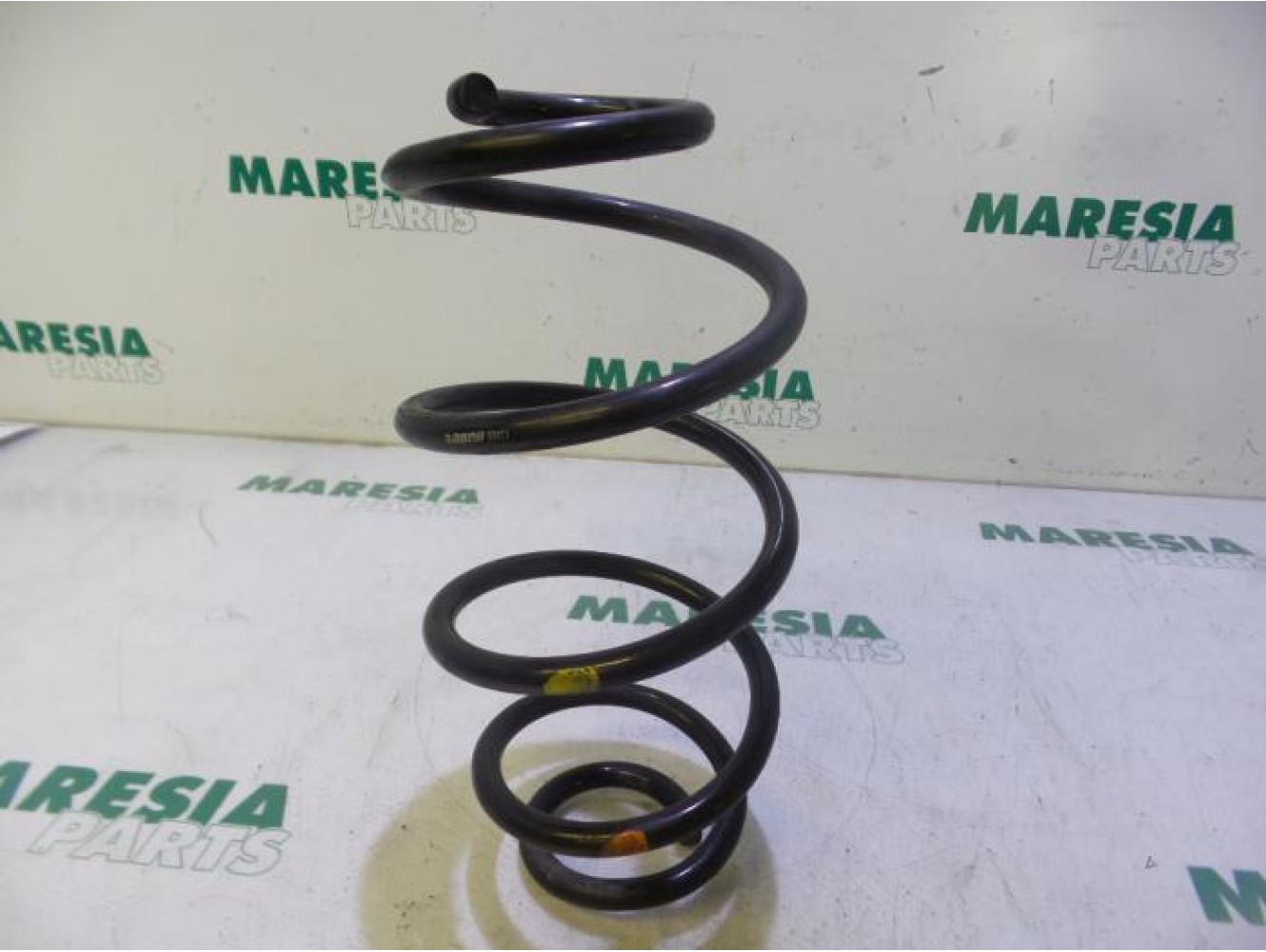Fiat - Doblo - Rear coil spring
