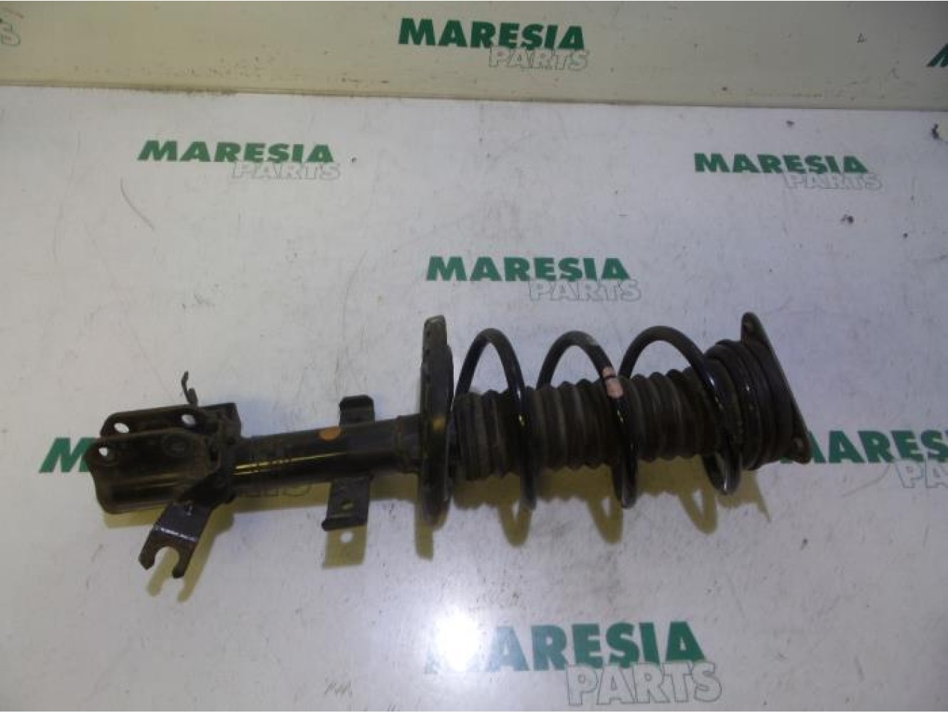 Renault - Clio - Front shock absorber rod, right