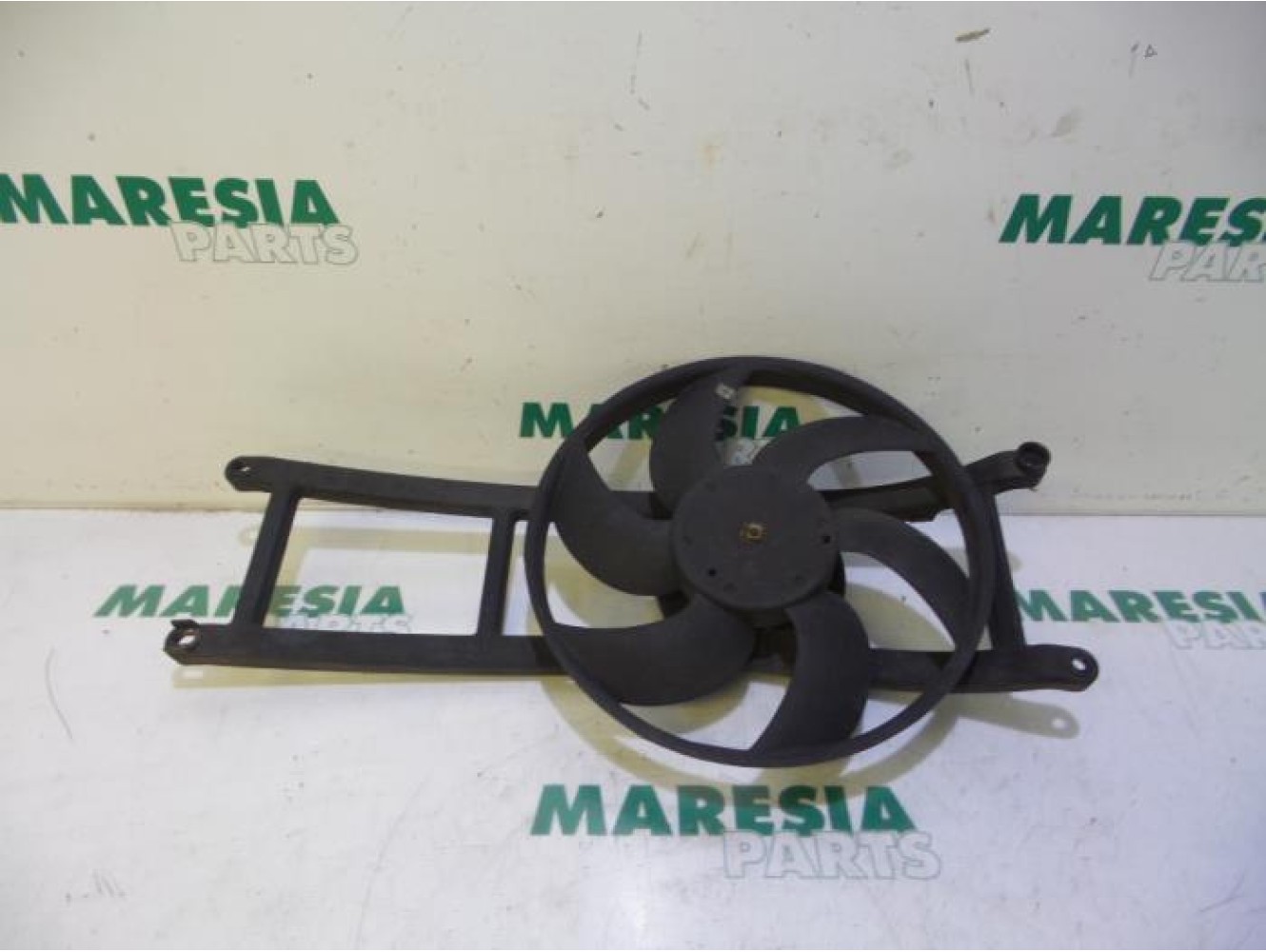 Fiat - Panda - Kühlgebläse Motor