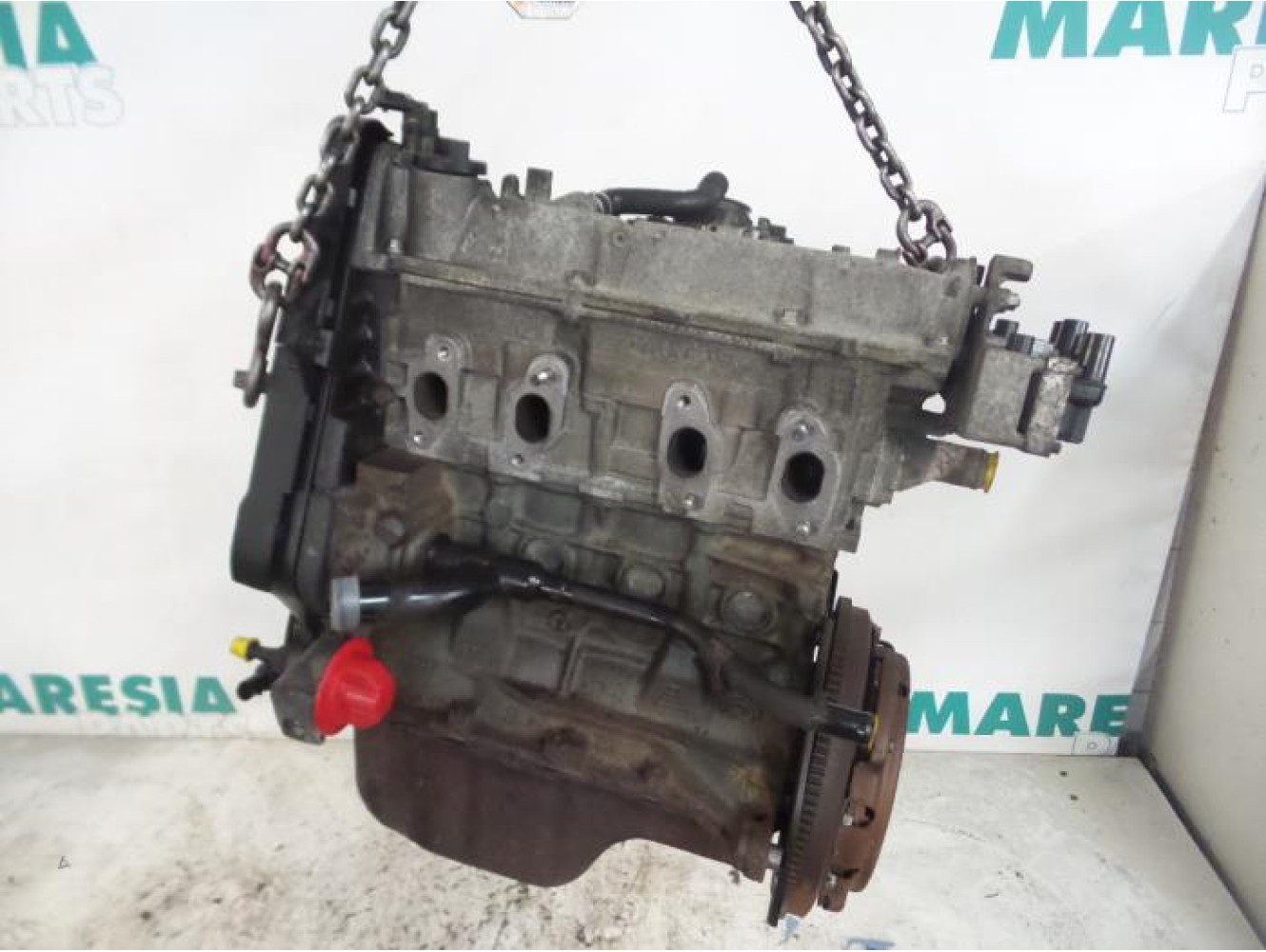 Fiat - Panda - Engine