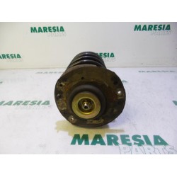 Peugeot - 206 - Schokdemperpoot links-voor