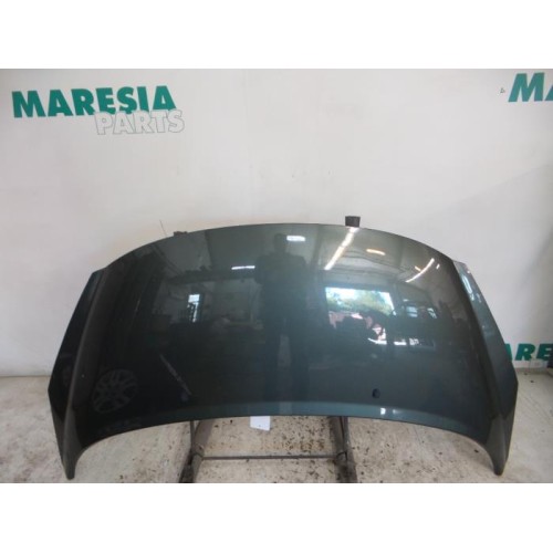 Peugeot - 207 - Motorhaube
