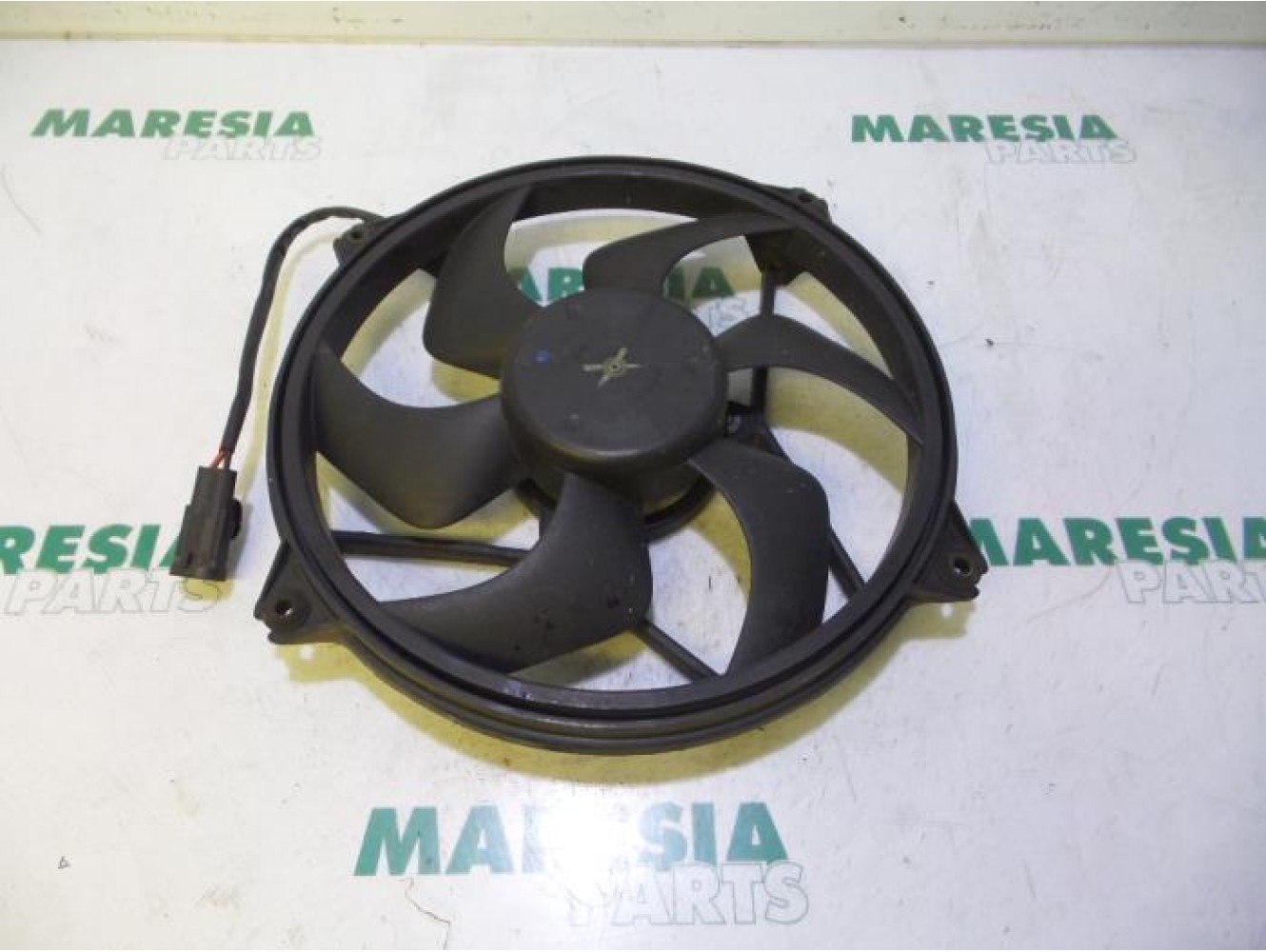 Citroen - C5 - Kühlgebläse Motor
