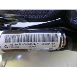 Peugeot - 207 - Airbag Himmel links