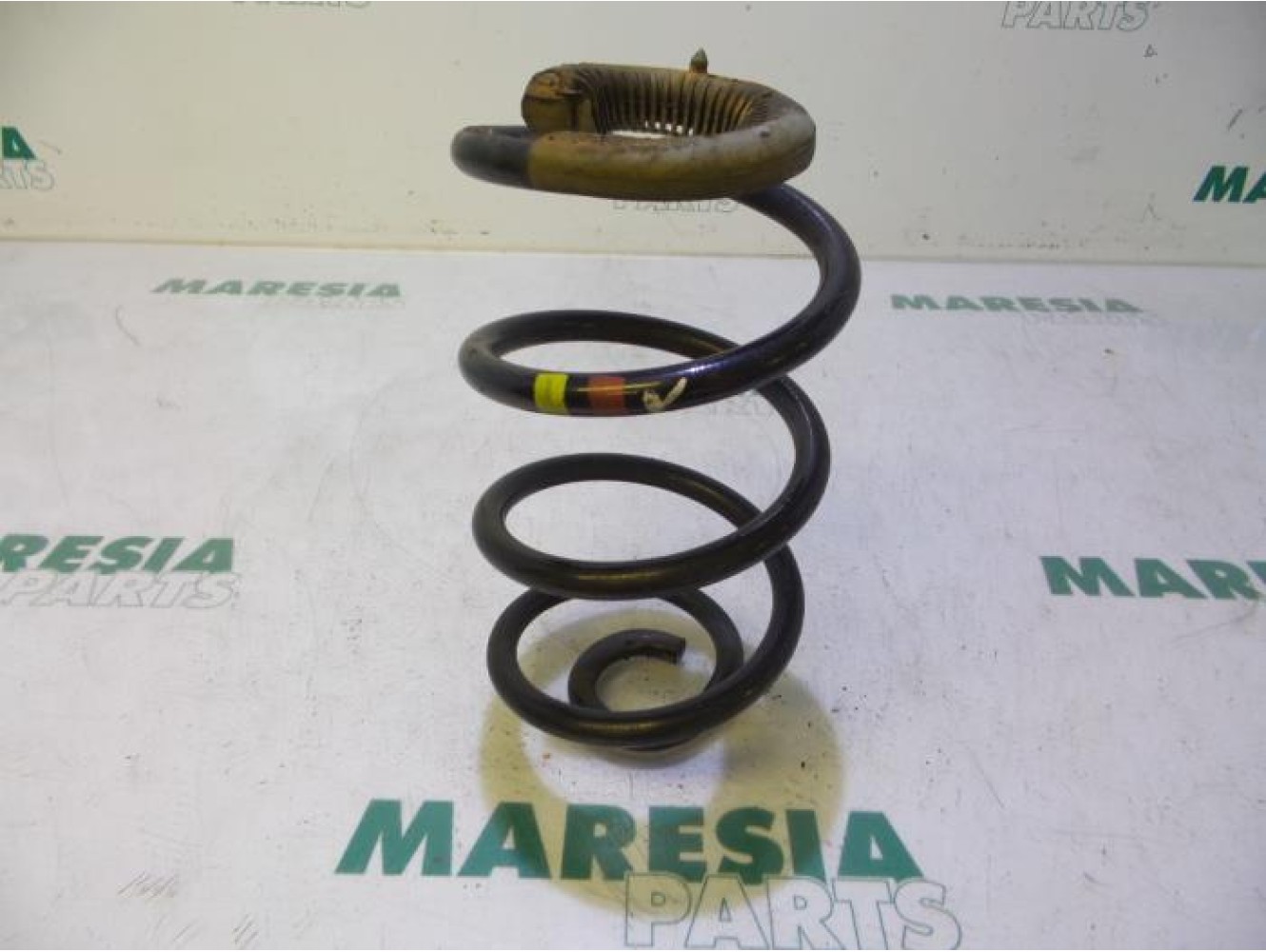 Renault - Clio - Rear coil spring