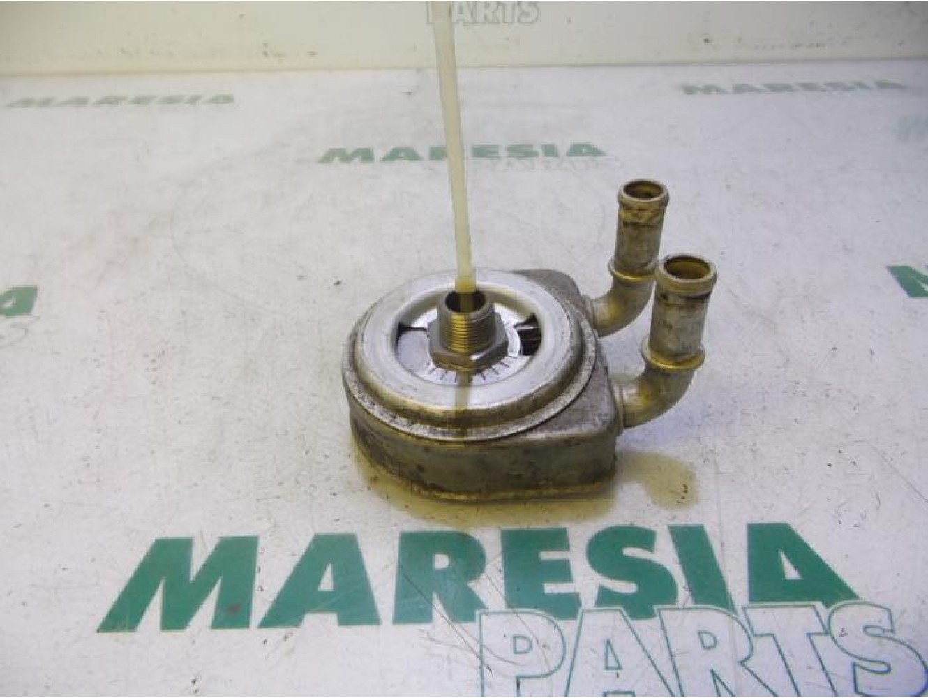 Citroen - Xsara - Oil cooler