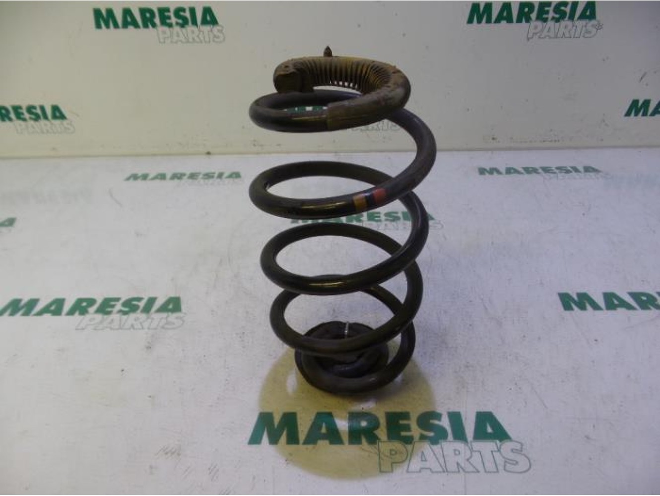 Renault - Clio - Rear coil spring