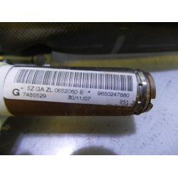 Peugeot - 207 - Roof curtain airbag, left
