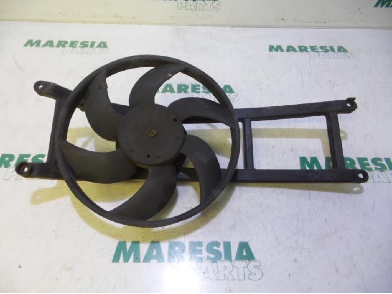 Fiat - Panda - Kühlgebläse Motor