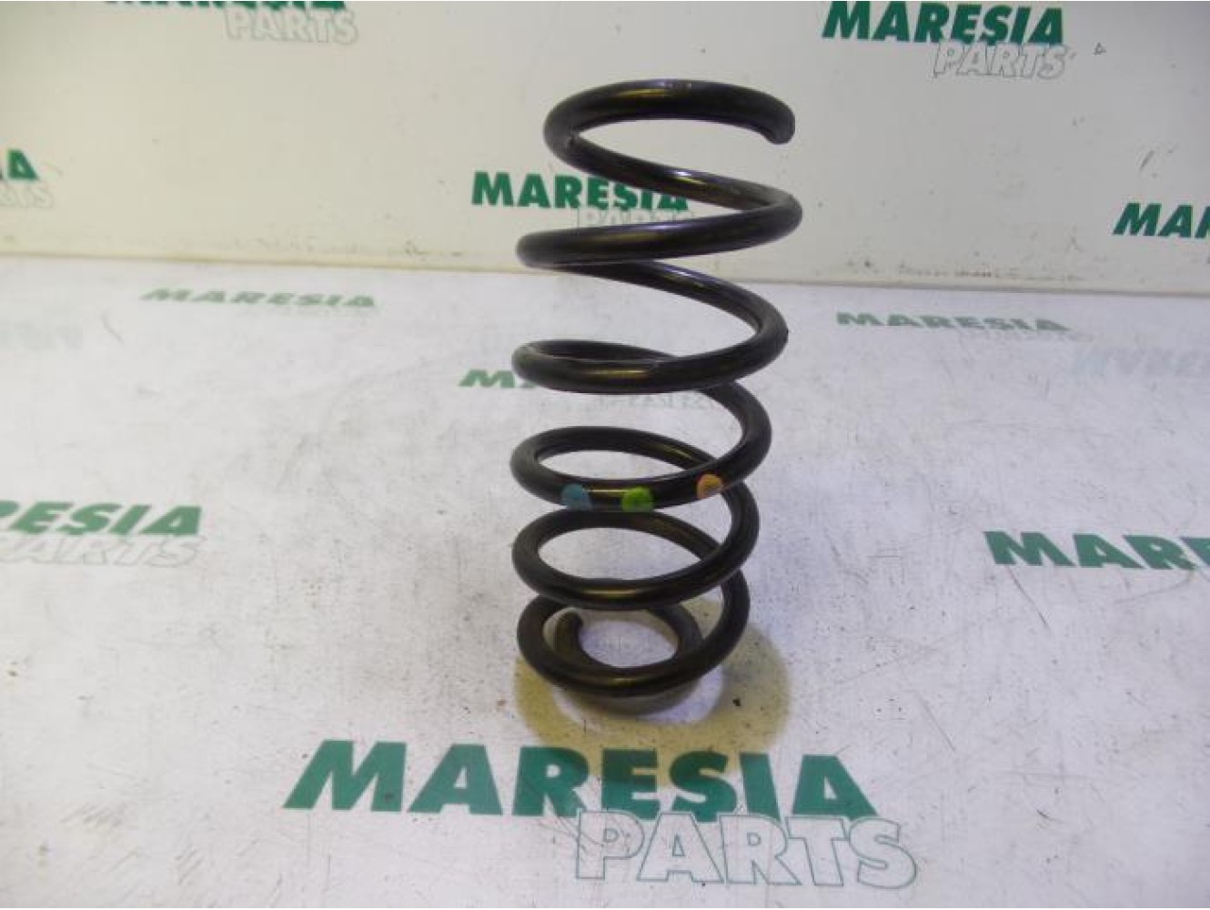 Renault - Clio - Rear coil spring