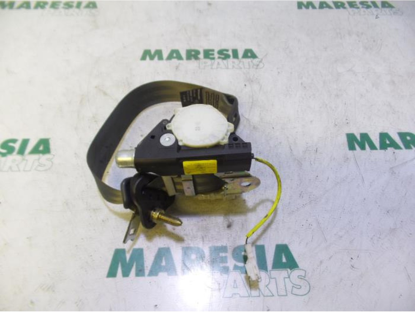 Renault - Clio - Sicherheitsgurt links hinten