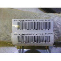 Peugeot - 3008 - Airbag hemel links