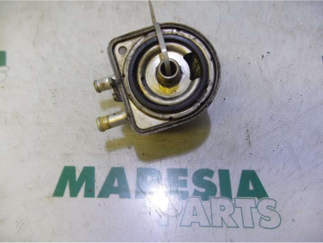 Citroen - C5 - Oil cooler