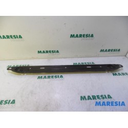 Citroen - C4 Picasso - Radiator bar