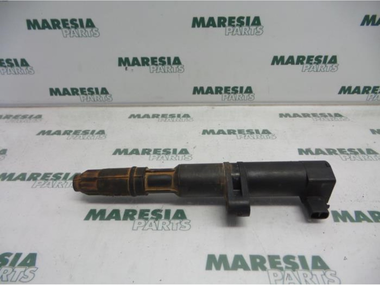 Renault - Megane Scenic - Ignition coil