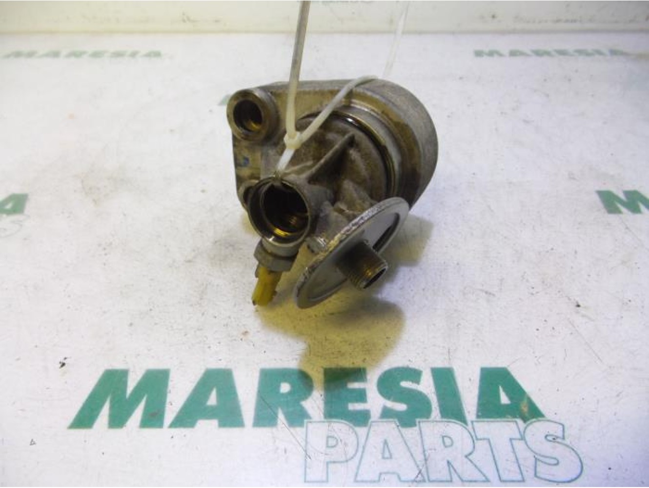 Renault - Kangoo - Oil cooler