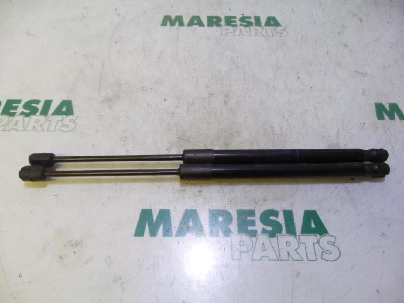 Renault - Megane - Set Gasdempers Achterklep