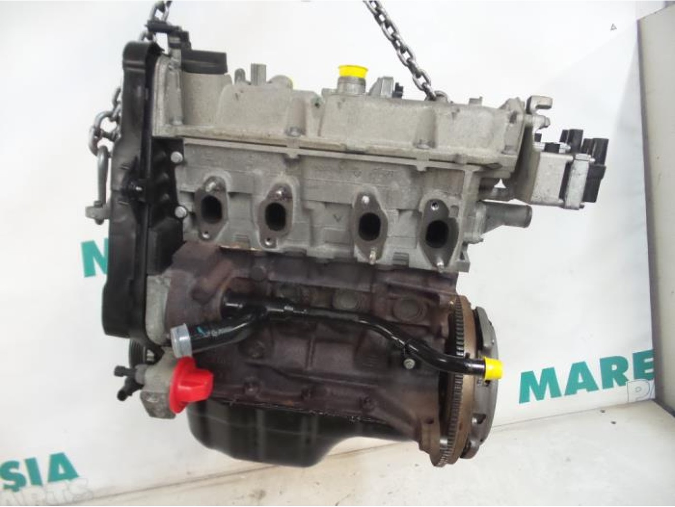 Fiat - Panda - Engine