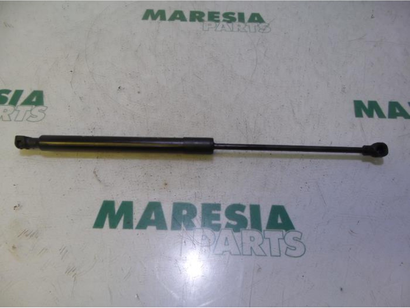 Renault - Megane - Set of tailgate gas struts