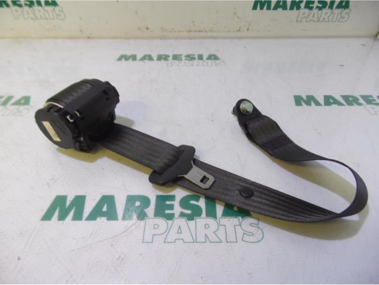 Fiat - Panda - Sicherheitsgurt links hinten