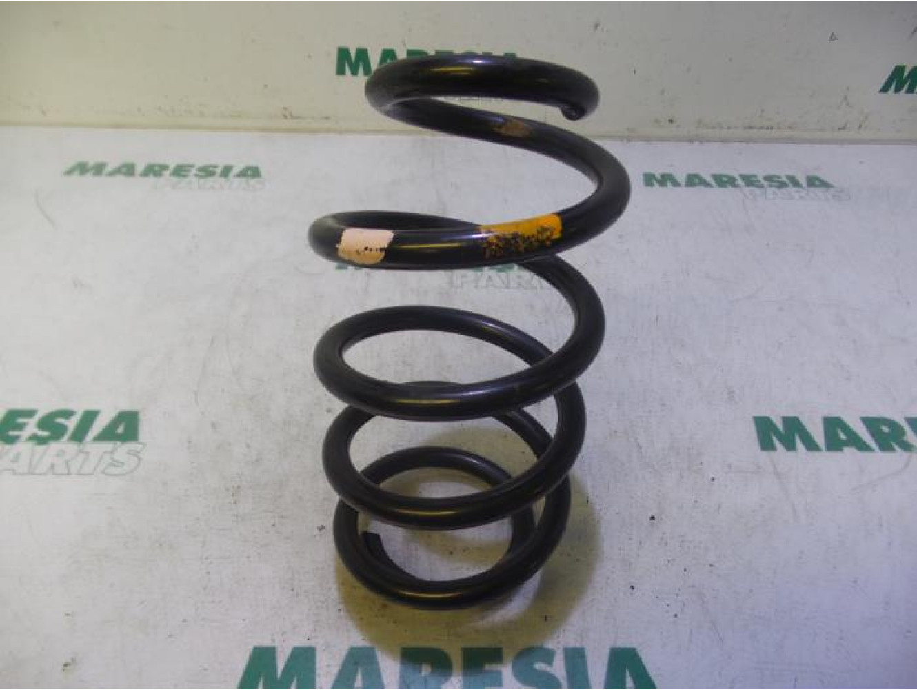 Dacia - Logan - Rear coil spring