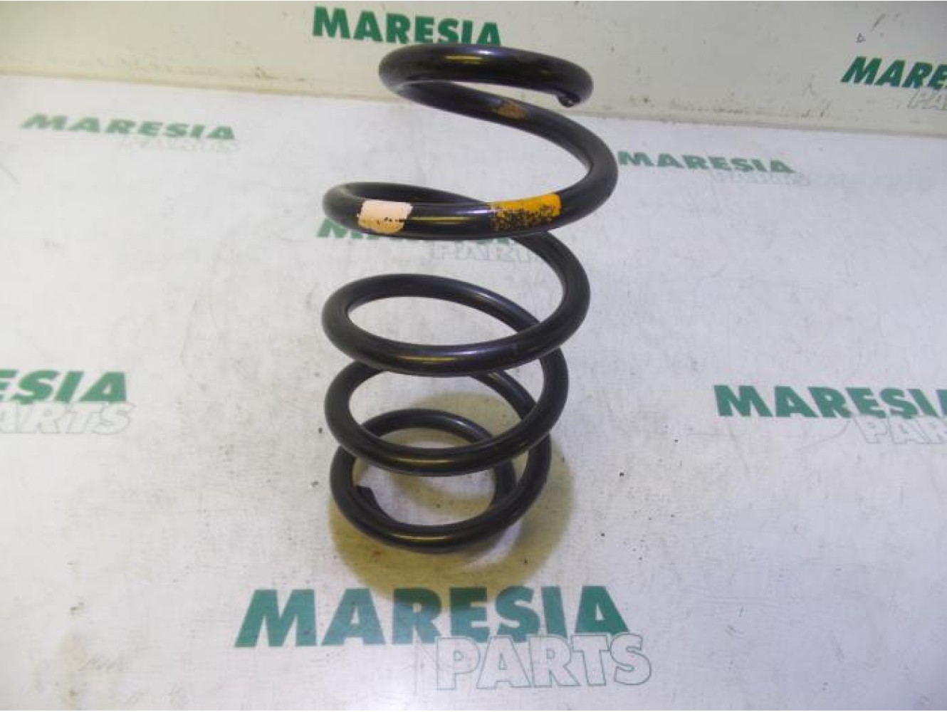 Dacia - Logan - Rear coil spring